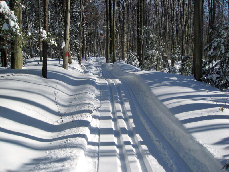 Cross-country Ski Trail — White, Serene