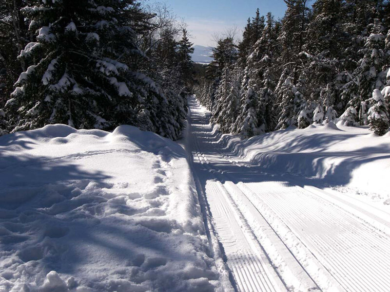 Cross-country Ski Trail — White, Serene, Winter