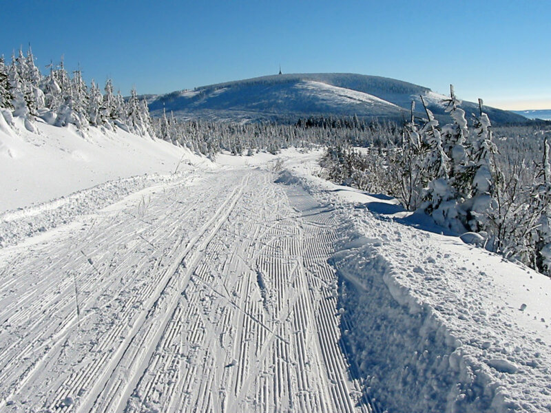 Cross-country Ski Trail — White