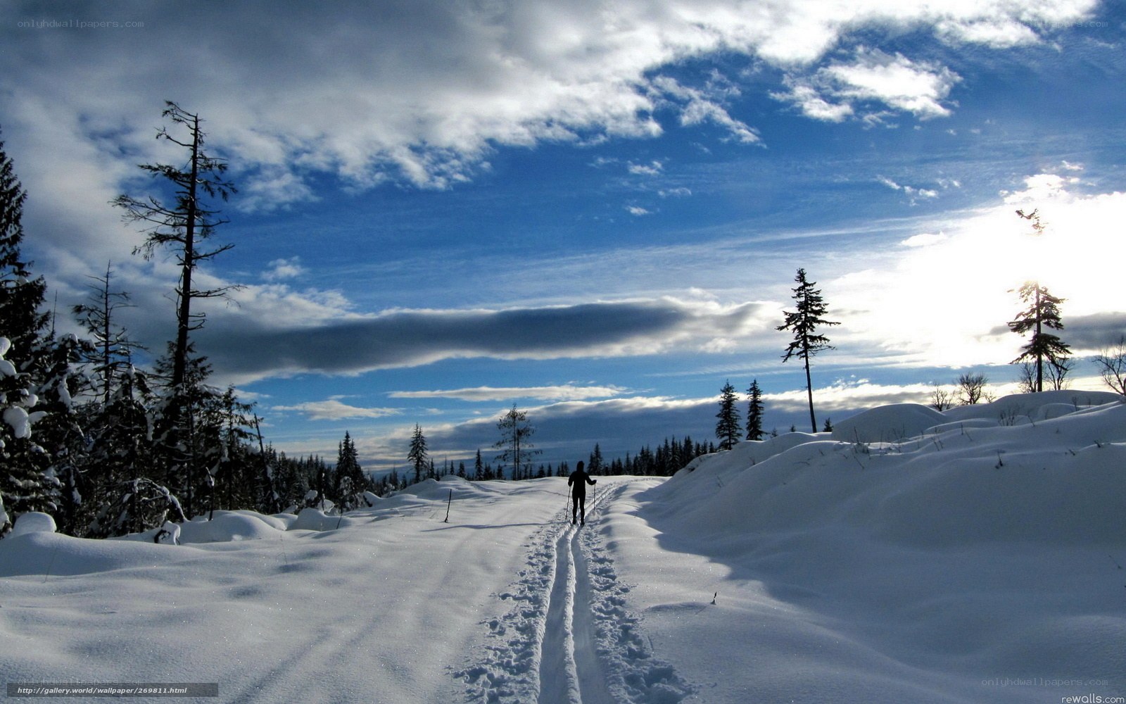 Cross-country skiing in winter