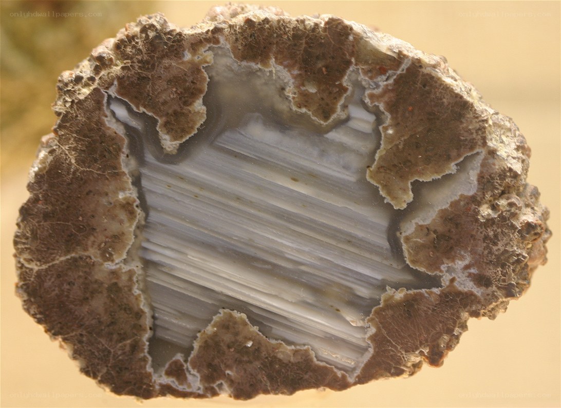 cross-section of agate geode