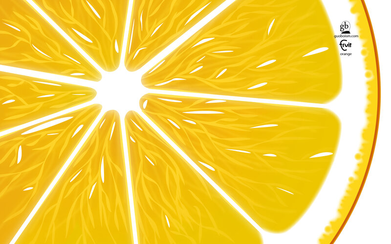 Cross-section of an Orange