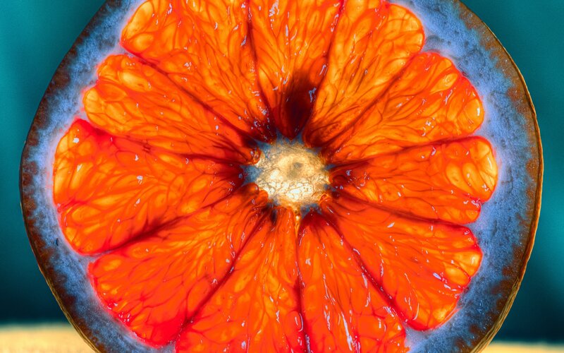Cross-section of Blood Orange