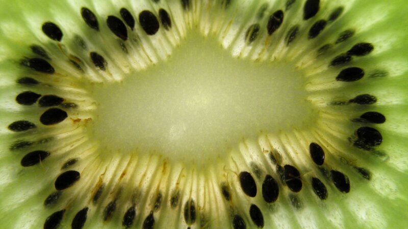 Cross-section of Kiwi Fruit — Green, Natural, Photograph, Seeds, Flesh, Core