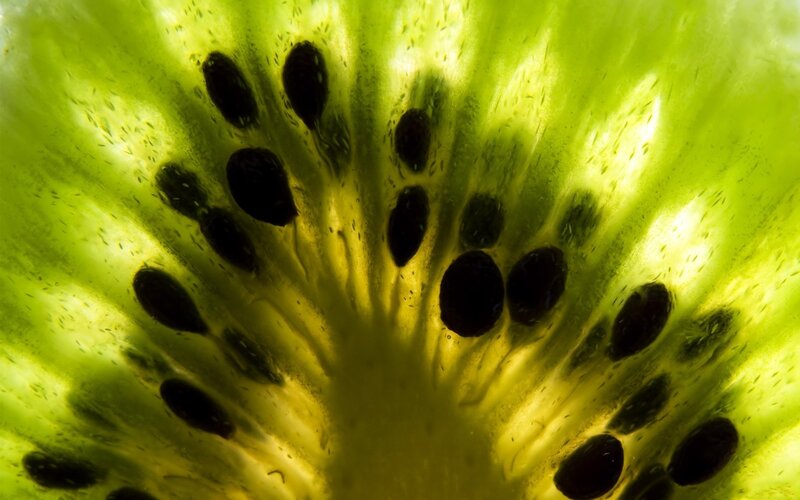 Cross-section of Kiwi Fruit