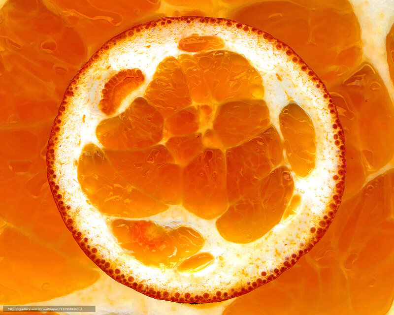 Cross-section of Orange Slice