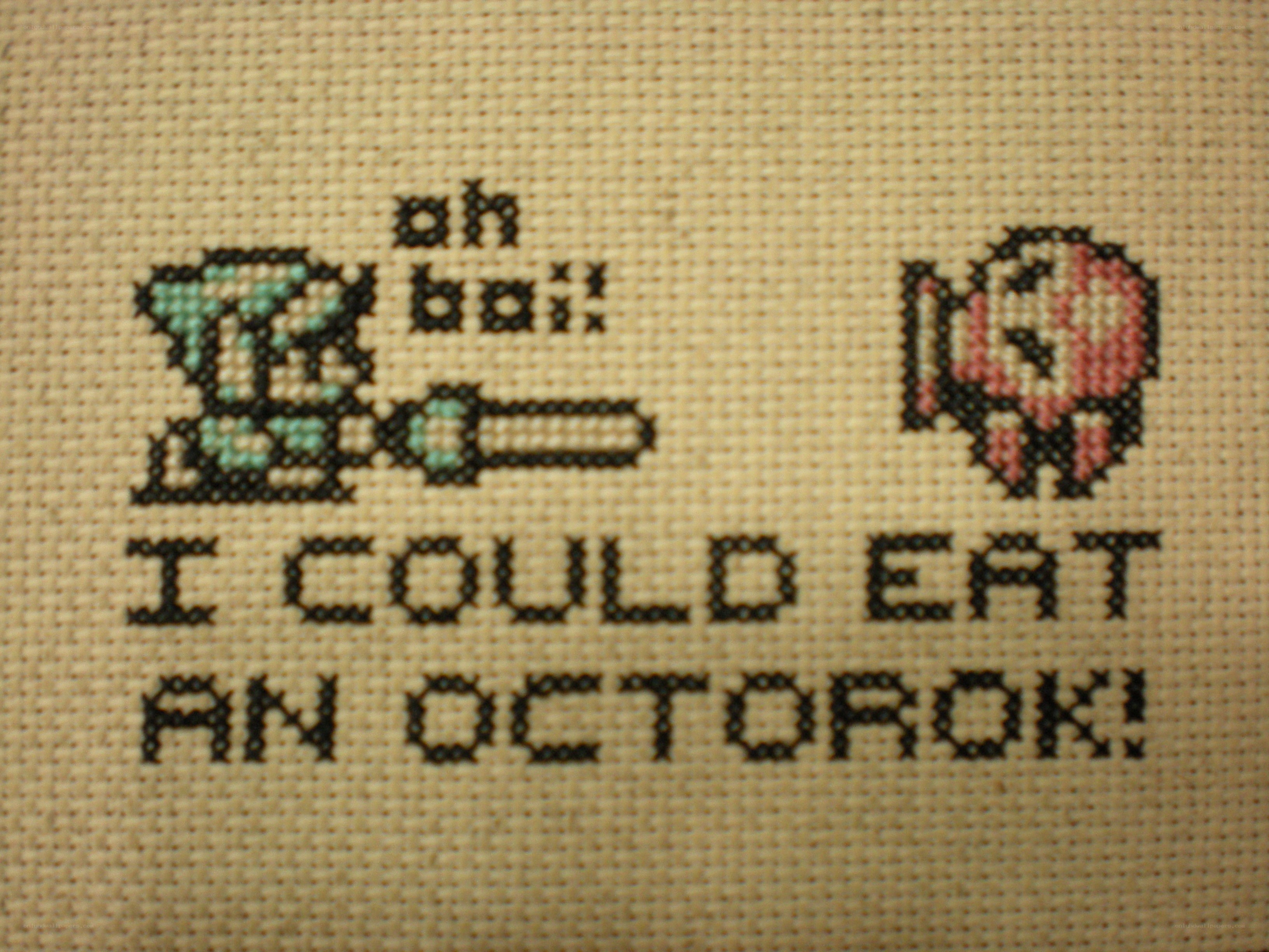 cross-stitched video game quote