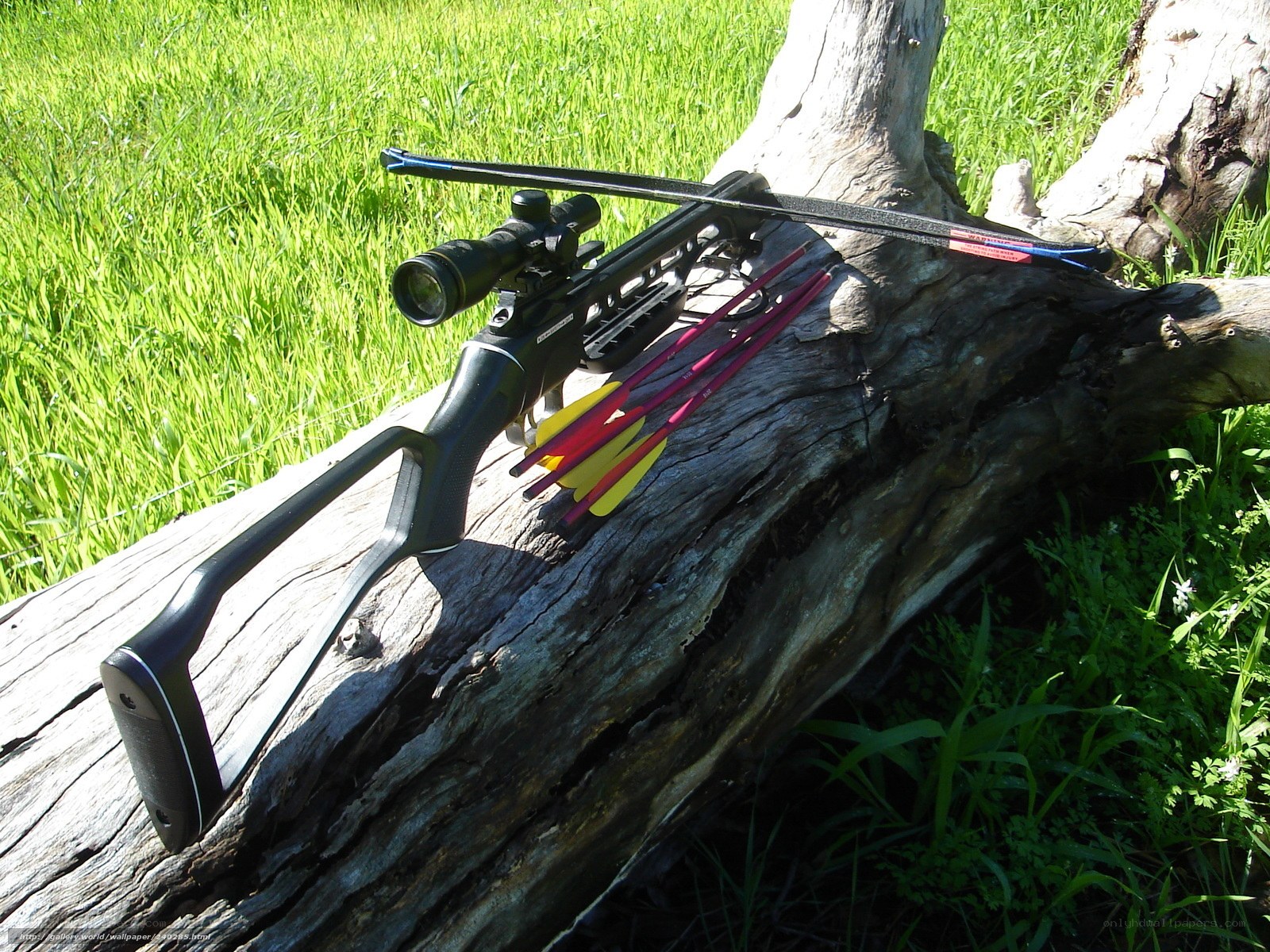 Crossbow with arrows on log