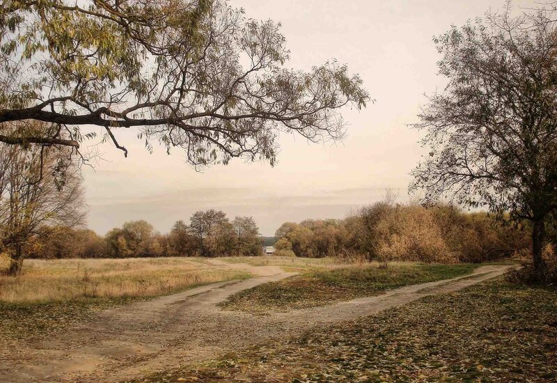Crossroads in autumn landscape