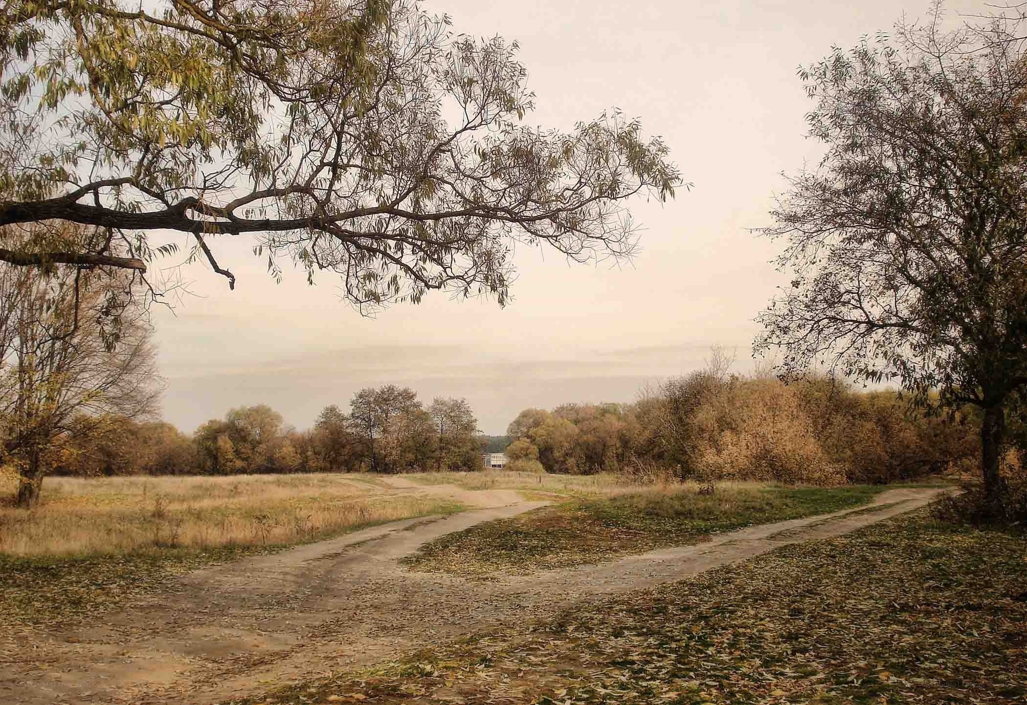 Crossroads in autumn landscape