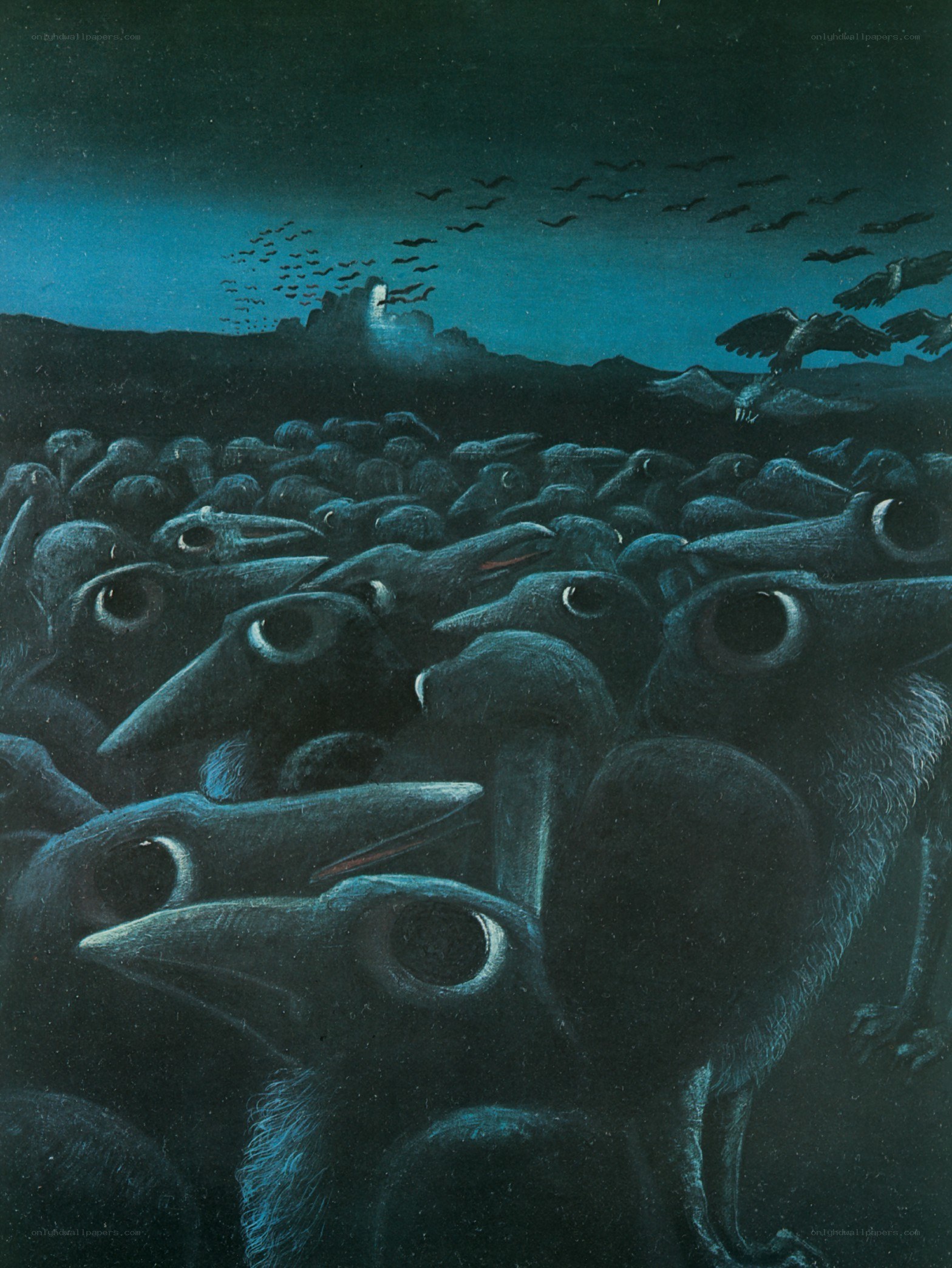 Crow flock at night