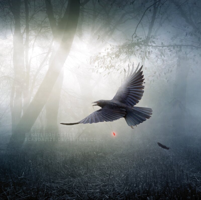 Crow Flying in Fog