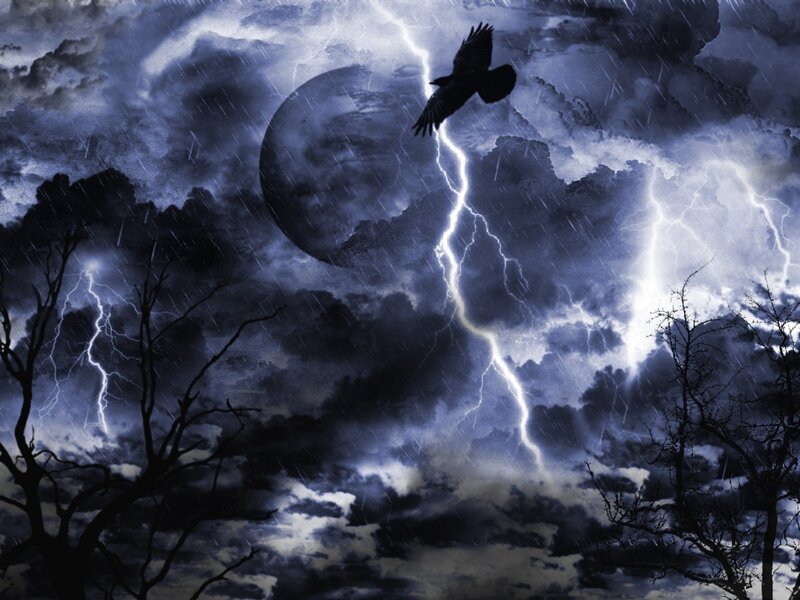 Crow Flying in Storm