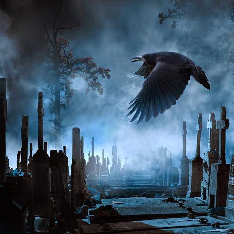 Crow Flying over Graveyard