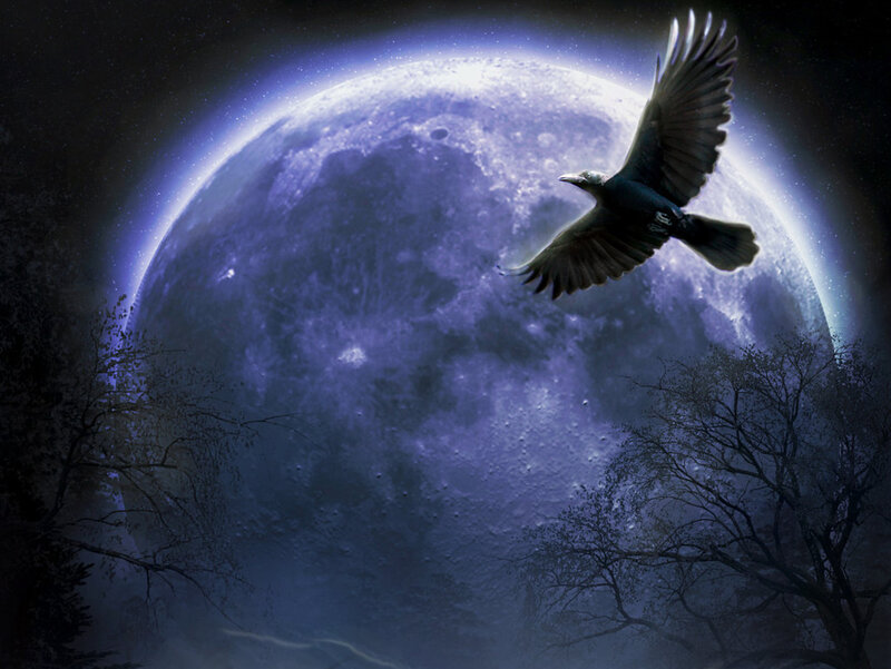 Crow Flying over Moon — Blue