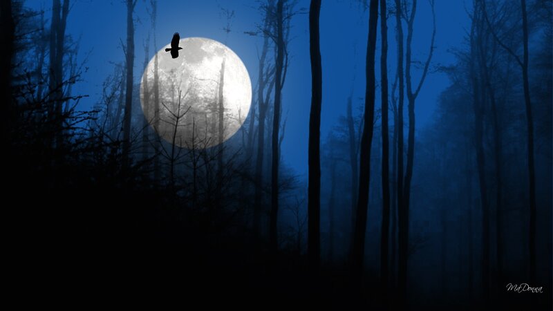 Crow Flying over Moon