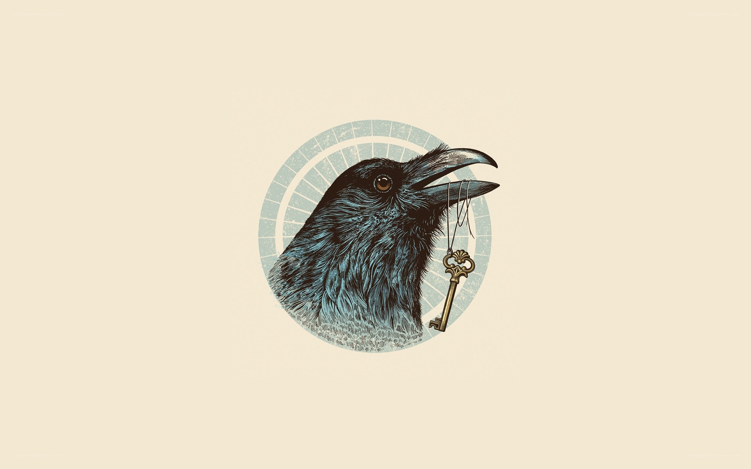 crow holding a key