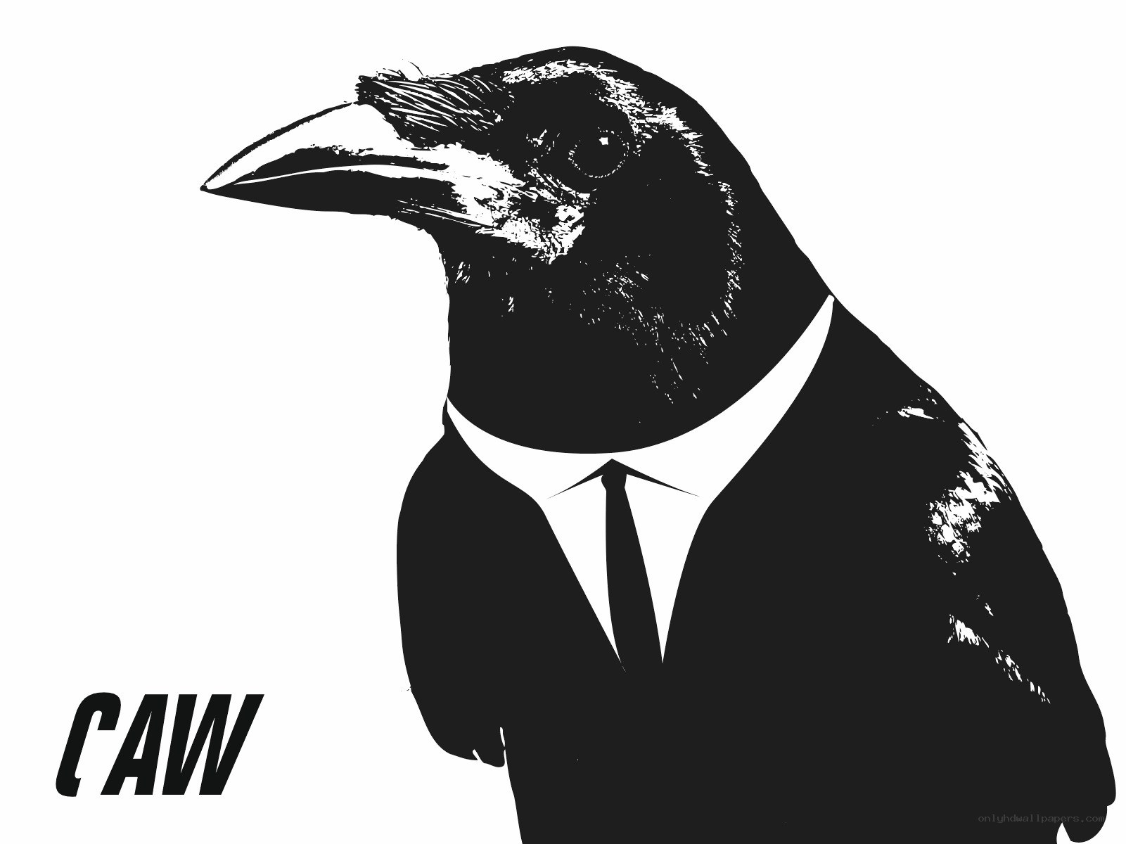 crow in a suit