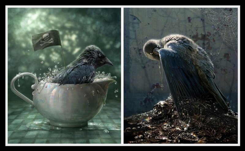 Crow in a Teacup