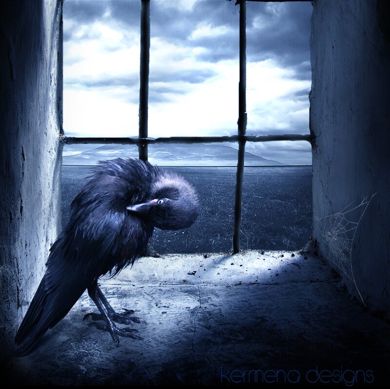 Crow in Prison Cell