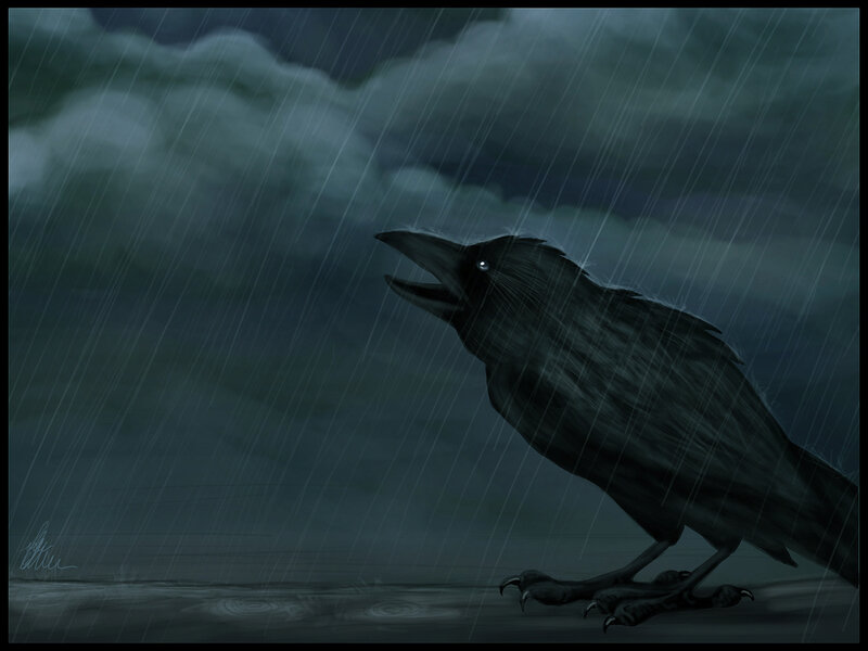Crow in the Rain