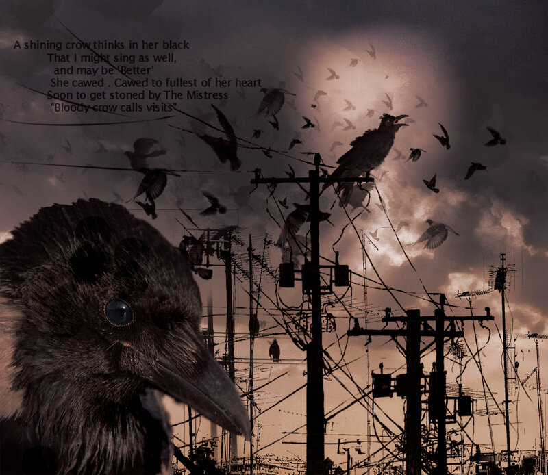 Crow in Urban Landscape