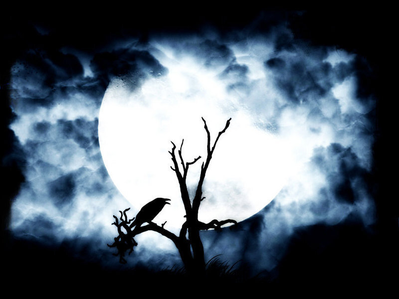 Crow on a bare tree