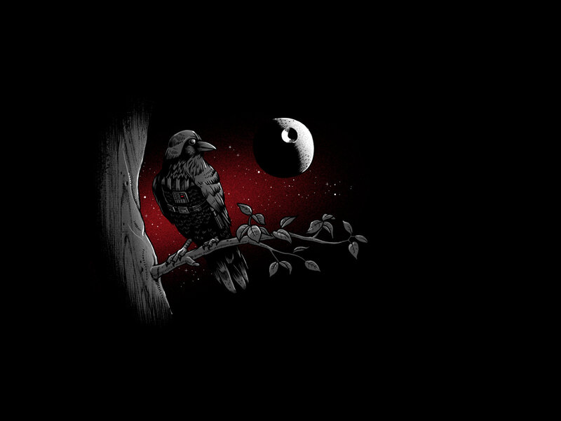 crow on a branch at night
