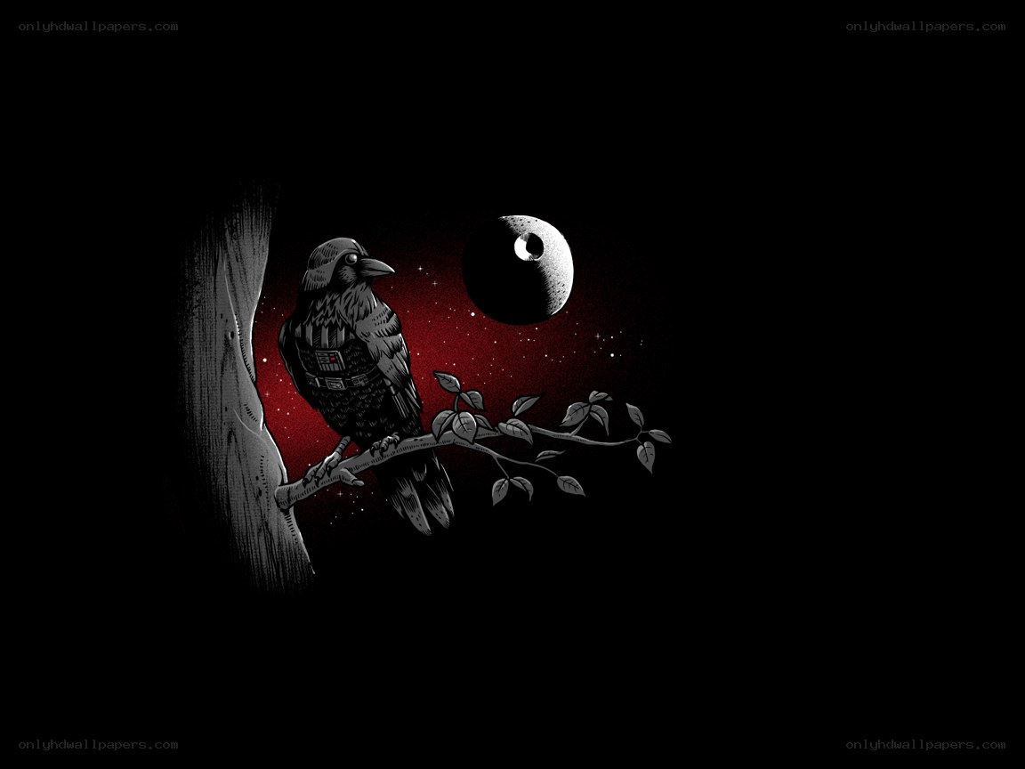 crow on a branch at night