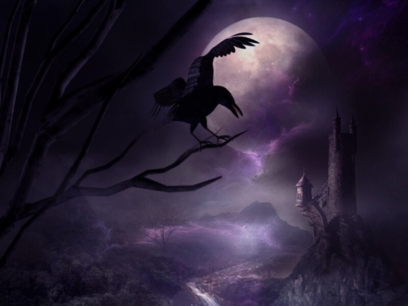 Crow on a Branch — Purple