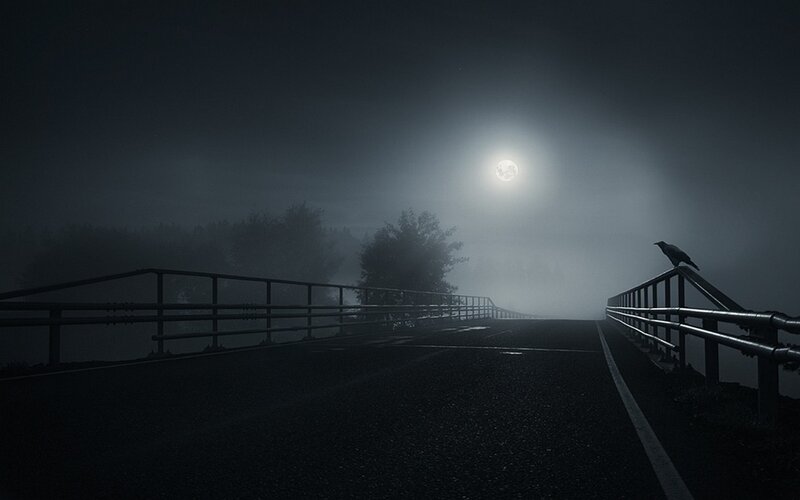 Crow on a Bridge