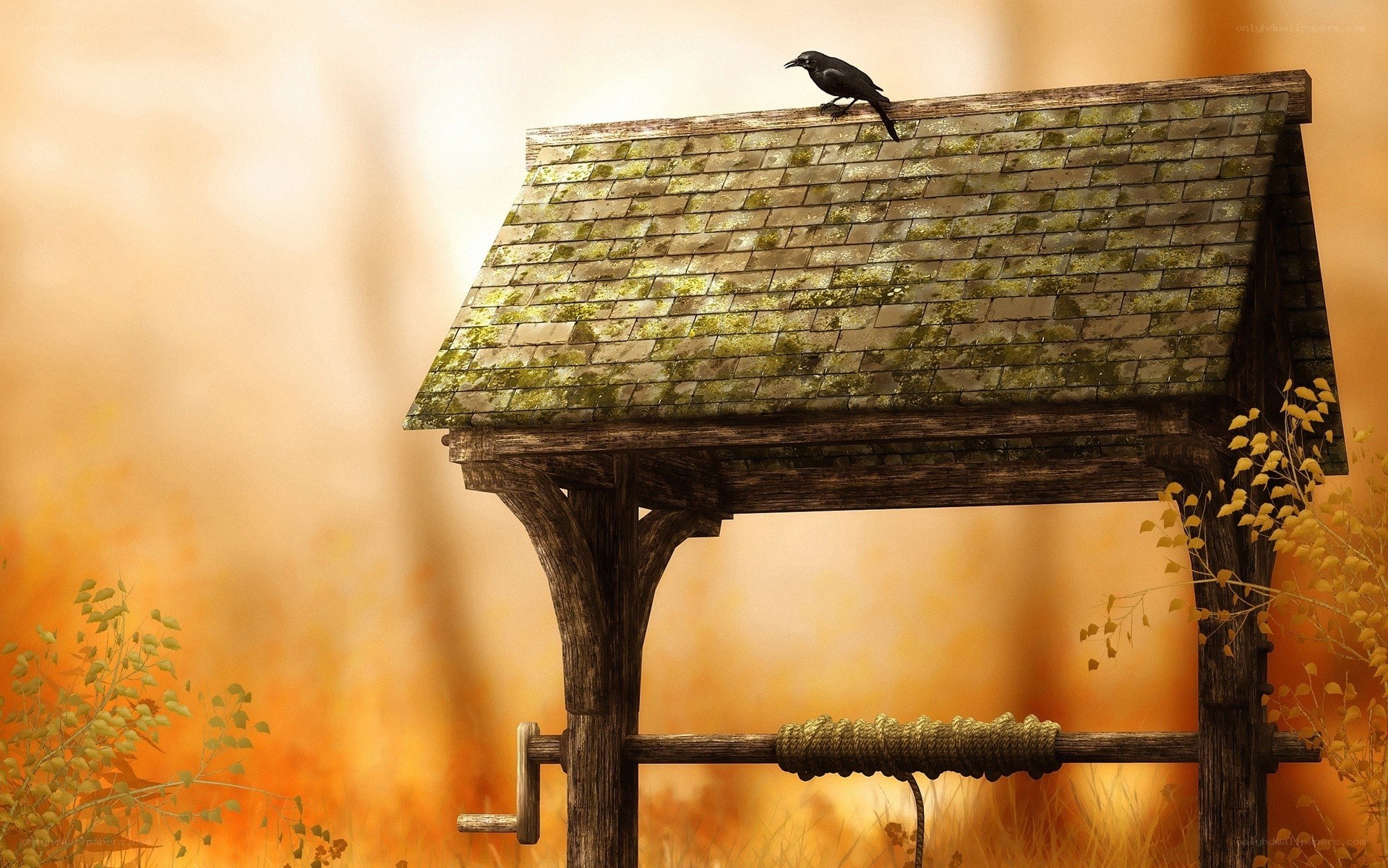 Crow on a mossy well