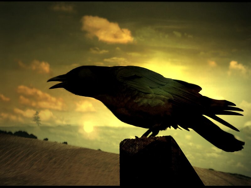 Crow on a Post — Yellow