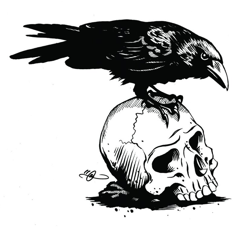 crow on a skull