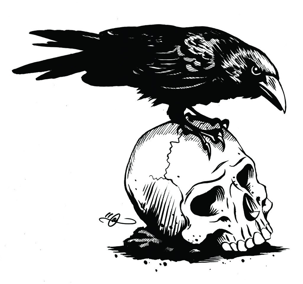 crow on a skull
