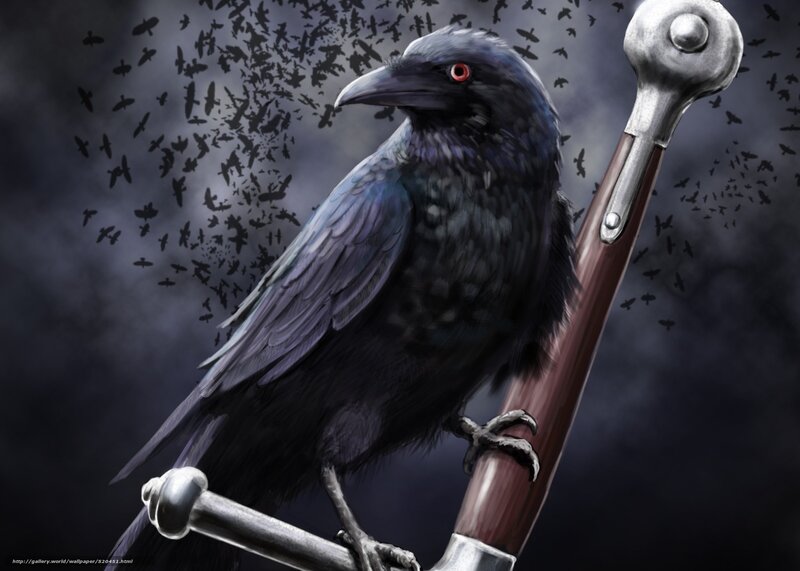 Crow on a sword hilt