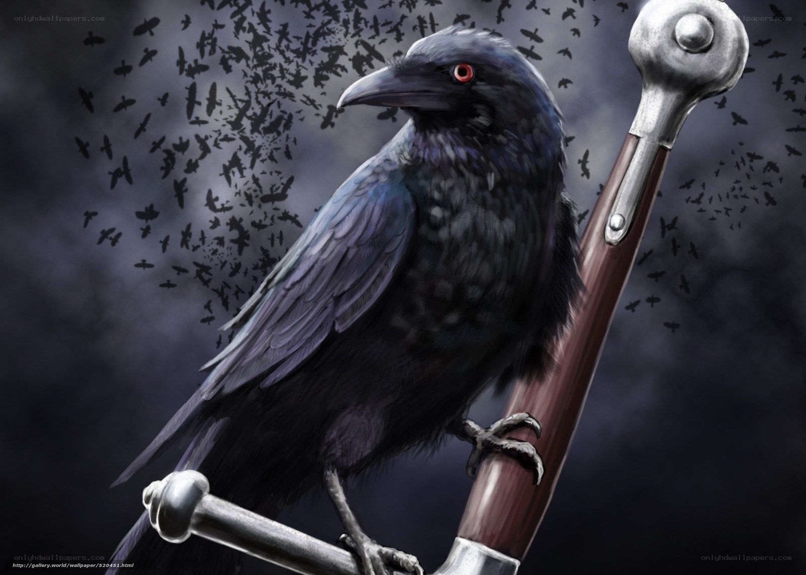 Crow on a sword hilt