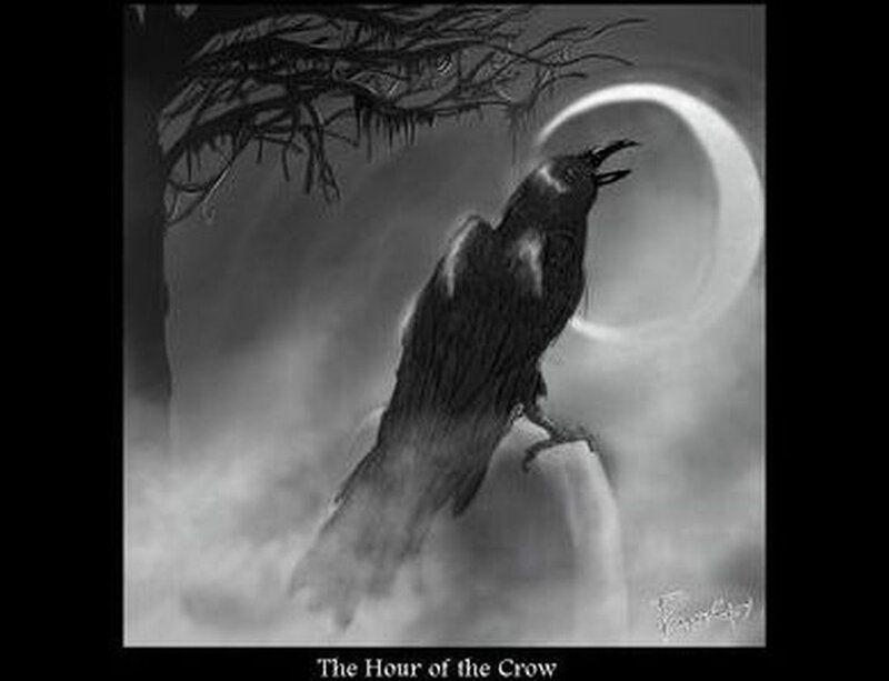 Crow on a Tombstone