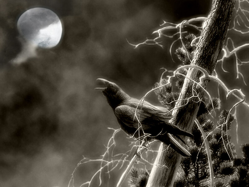 Crow on a Tree Branch — Black