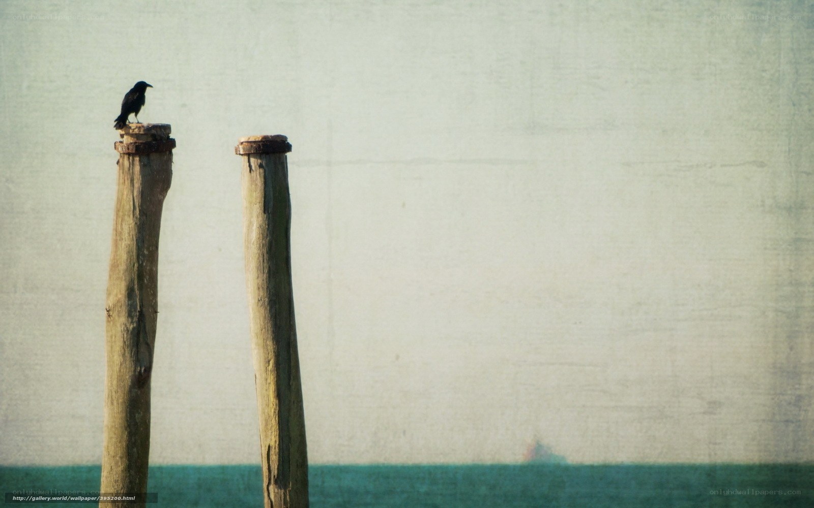 Crow on a wooden post