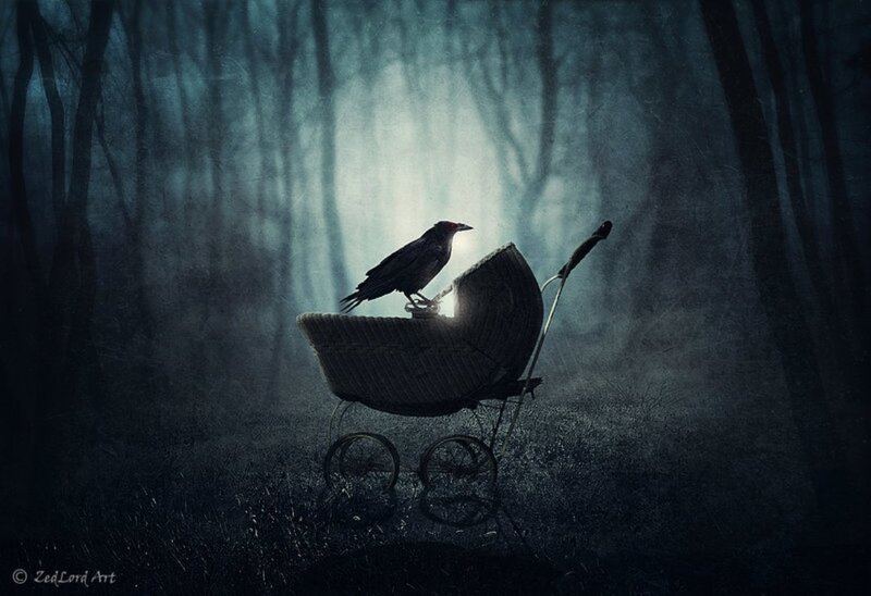 Crow on Baby Carriage
