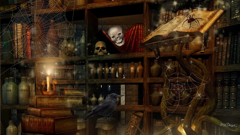 Crow on Bookshelf