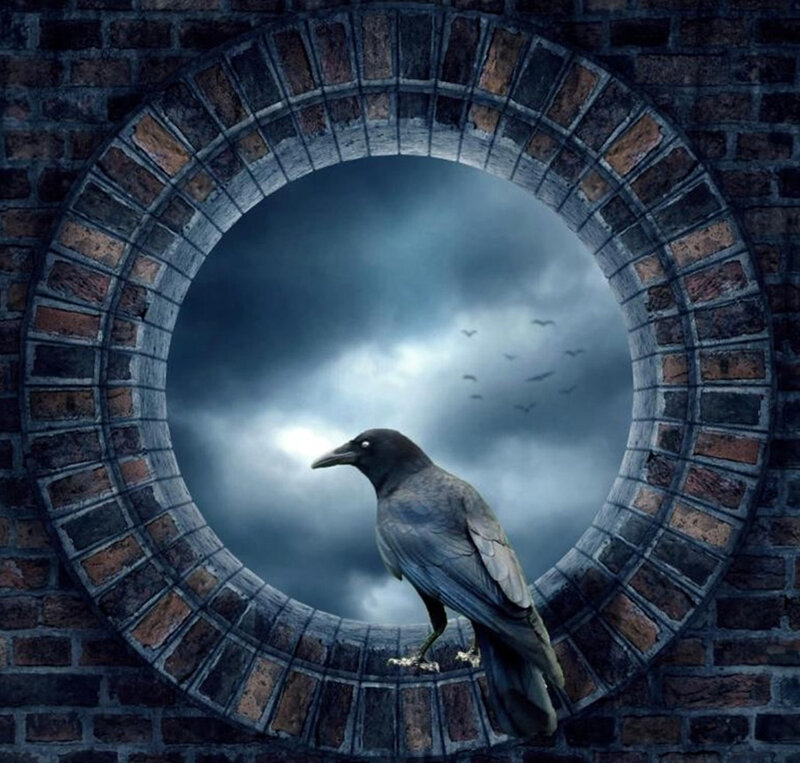 Crow on Brick Arch
