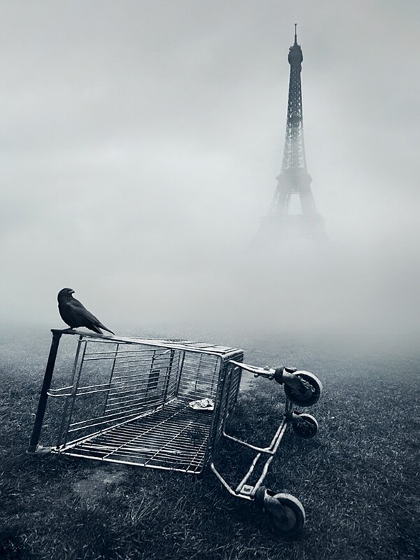 Crow on cart with Eiffel Tower
