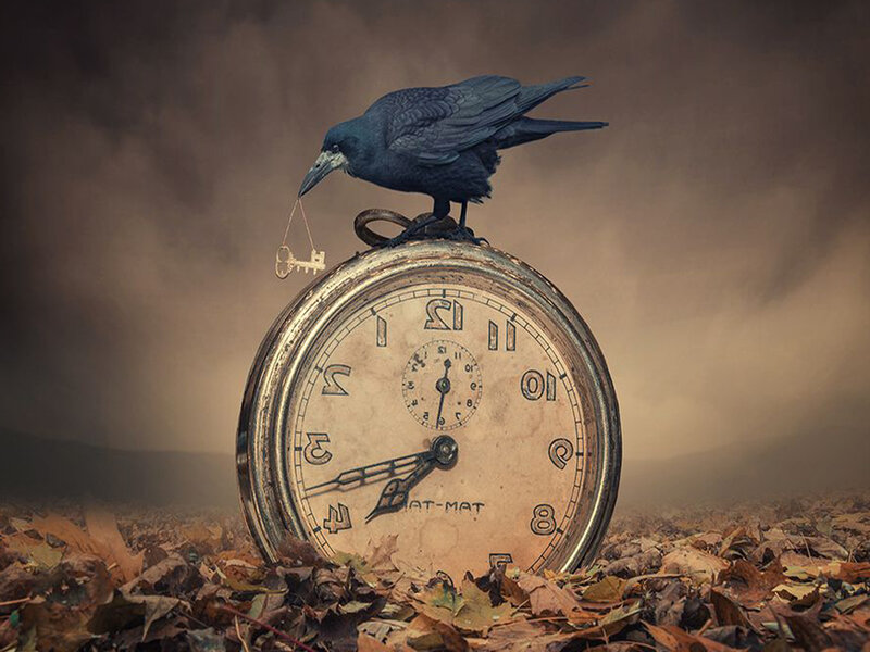 Crow on Clock