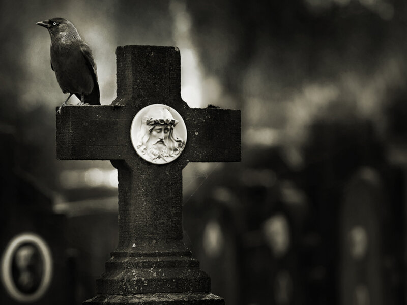 Crow on Gravestone — Black