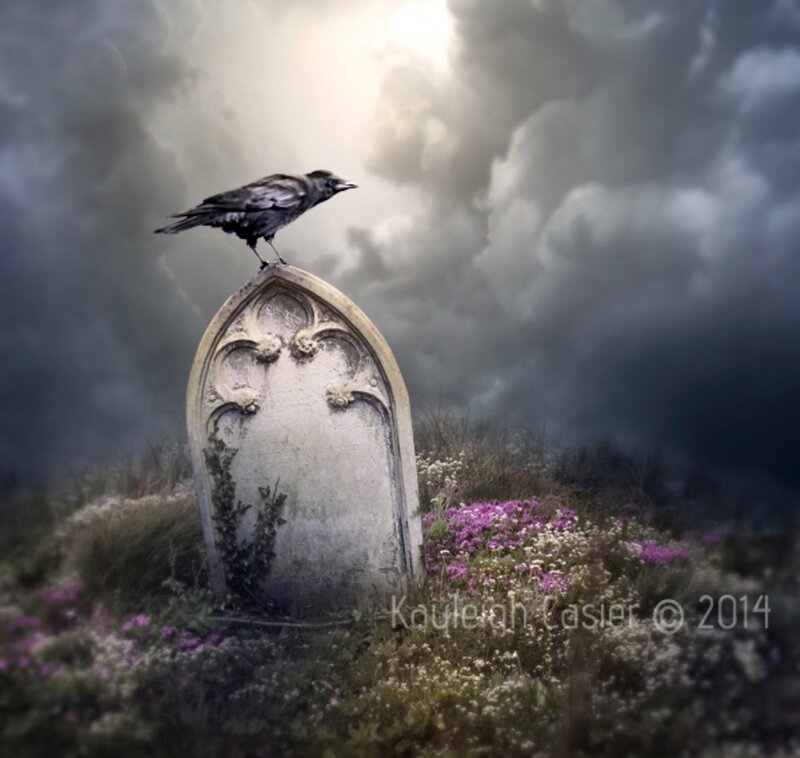 Crow on Gravestone — Gray