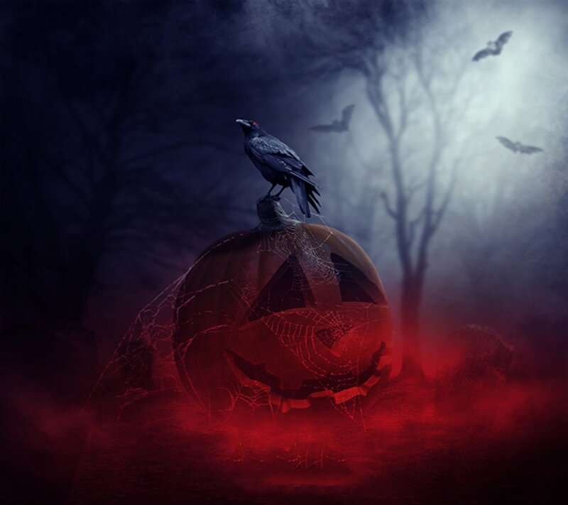 Crow on Jack-o-lantern