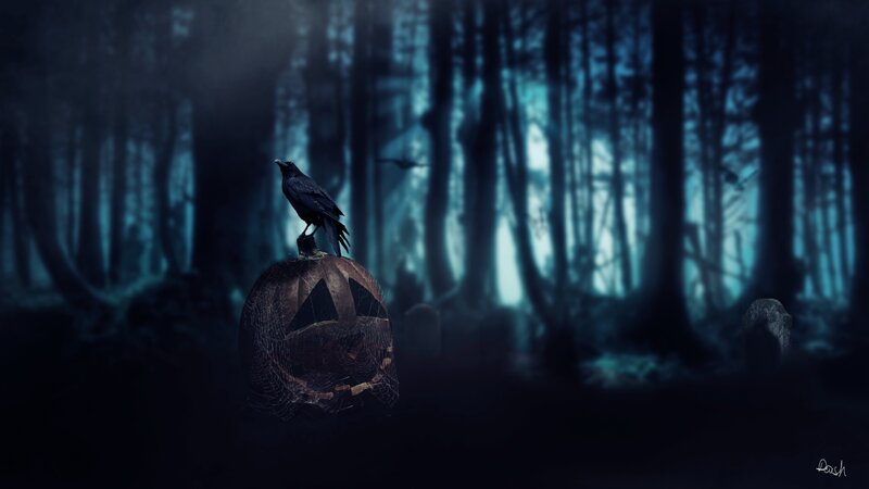 Crow on Pumpkin