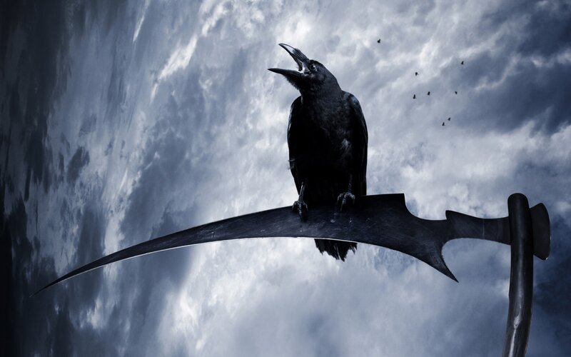 Crow on Scythe — Black